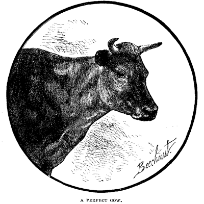 A Perfect Cow (October 1878)