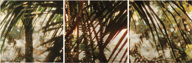 Montecito Palms, by Susan Goldsmith