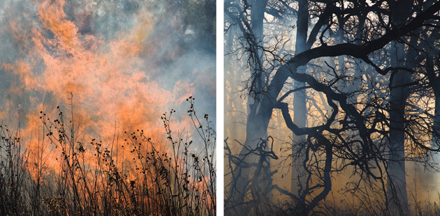 “Burn No. 74” and “Burn No. 53,” photographs by Jane Fulton Alt, from The Burn, published last year by Kehrer Verlag. Courtesy the artist; Corden Potts Gallery, San Francisco; and Sous Les Etoiles Gallery, New York City