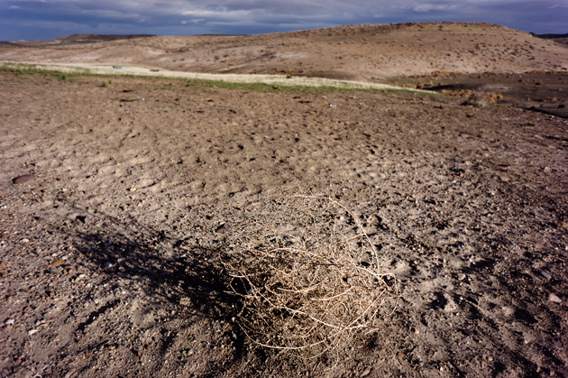 A tumbleweed near hoof marks on a grazed patch of Jarbidge BLM land in Idaho. Photograph by Tomas van Houtryve