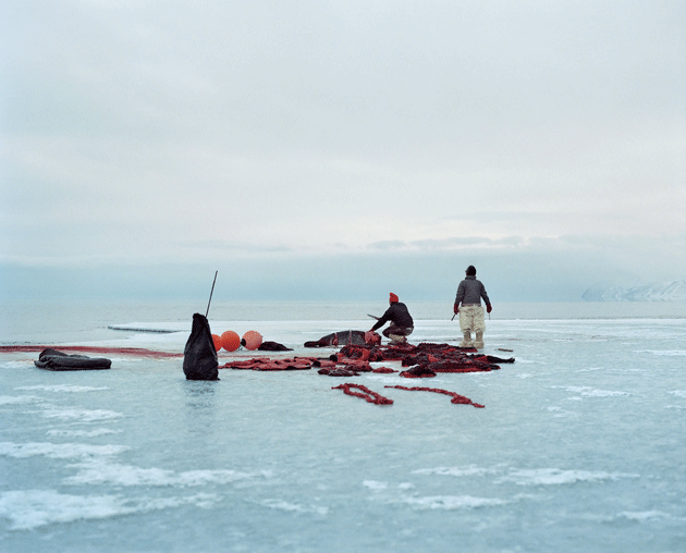 Hunters cut up seals at the edge of the sea ice near Qaanaaq © Sébastien Tixier