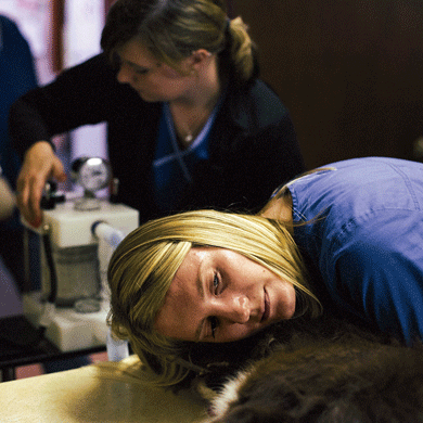 Renee Bertram listens to the breathing of a dog that is receiving anesthesia before surgery at Hampton Veterinary Center in Hampton, Iowa