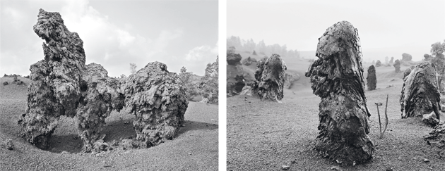 “Three Attached Lava Trees, East Rift Zone, Hawai’i, 2003” and “Lava Tree, East Rift Zone, Hawai’i, 2007,” photographs by Allan Macintyre. Courtesy the artist 