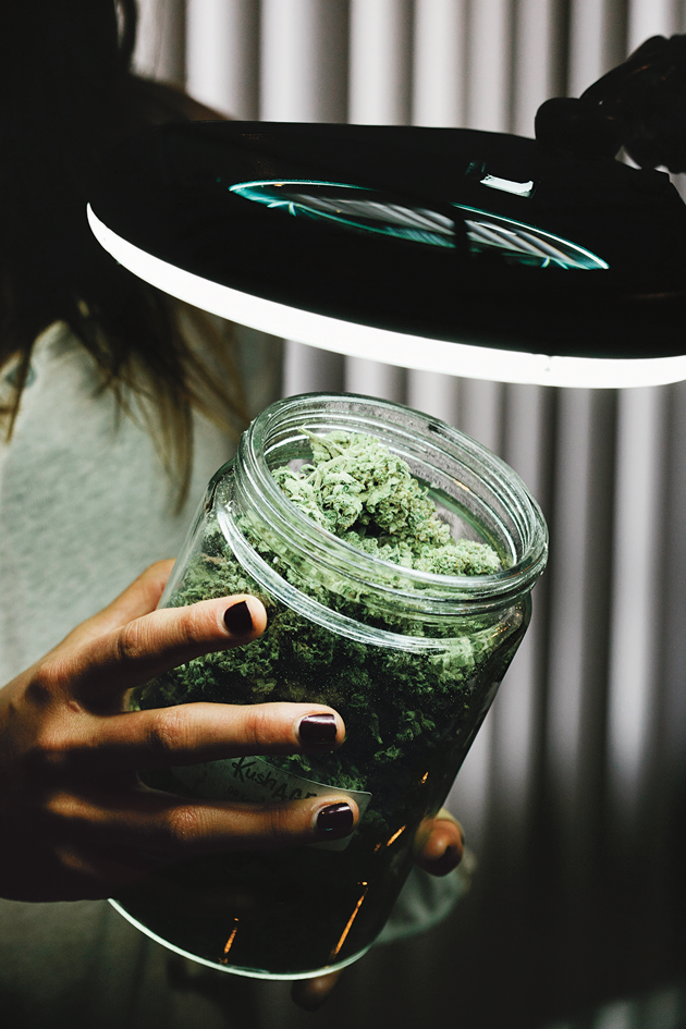 A bud tender holds a jar of marijuana buds under a magnifying glass at a dispensary in Denver © Benjamin Rasmussen/Offset