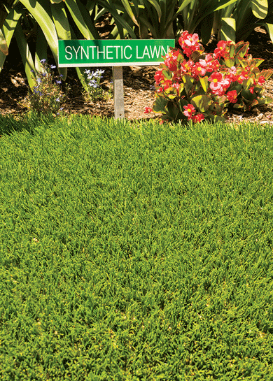Fake grass, Beverly Hills