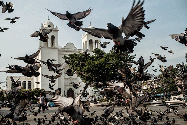 The Metropolitan Cathedral in San Salvador. All photographs from El Salvador, May 2016 © Nadia Shira Cohen