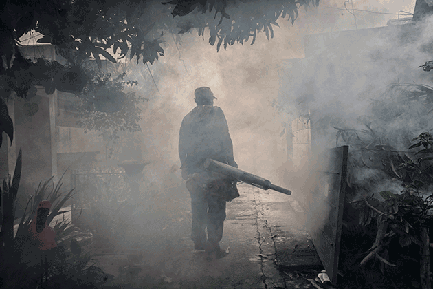 Sanitation workers fumigate houses, streets, sewers, and schools to kill mosquitoes, San Salvador. Photographs © Nadia Shira Cohen