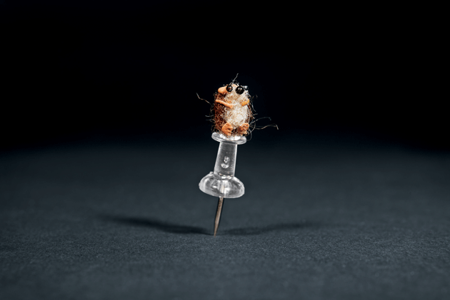 Photographs of miniatures by Lori DeBacker by Thomas Allen