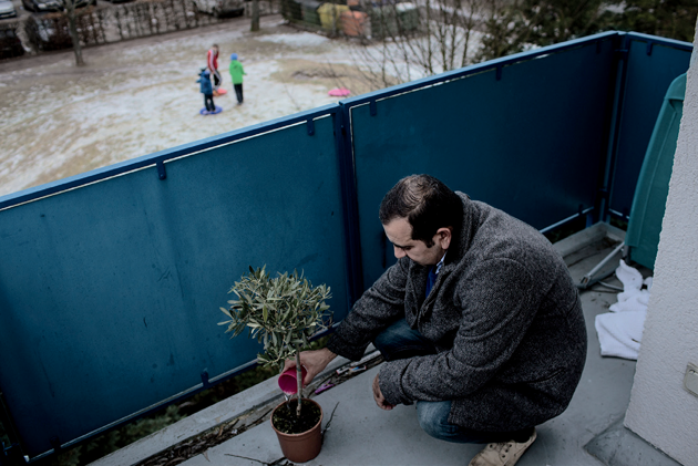 Mousa Alzaeem waters a small olive tree that his family received from Berlin acquaintances after moving into a new apartment, at the edge of the city. When he lived in Idlib, Syria, he and his brother owned around 2,000 olive trees. All photographs by Kaveh Rostamkhani