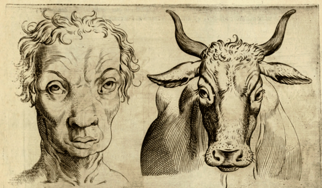 Illustration from Giovanni Battista della Porta’s De Humana Physiognomonia 