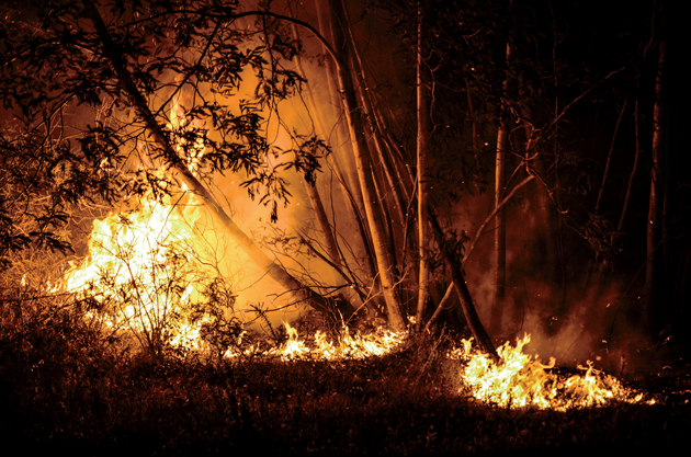A wildfire in Pedrógão Grande, Portugal, June 2017 © André Alves/Anadolu Agency/Getty Images