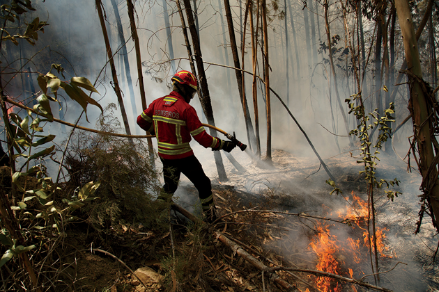 A firefighter working in Pedrógão Grande © Pablo Blazquez Dominguez/Getty Images