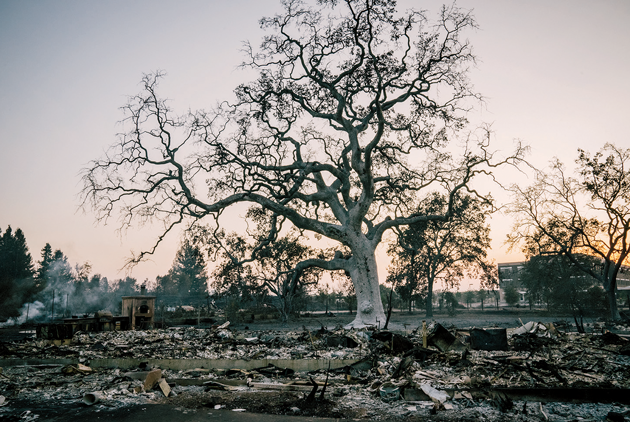 After a fire in Santa Rosa, California, October 2017 © Taliesin Gilkes-Bower/Realms Manifest