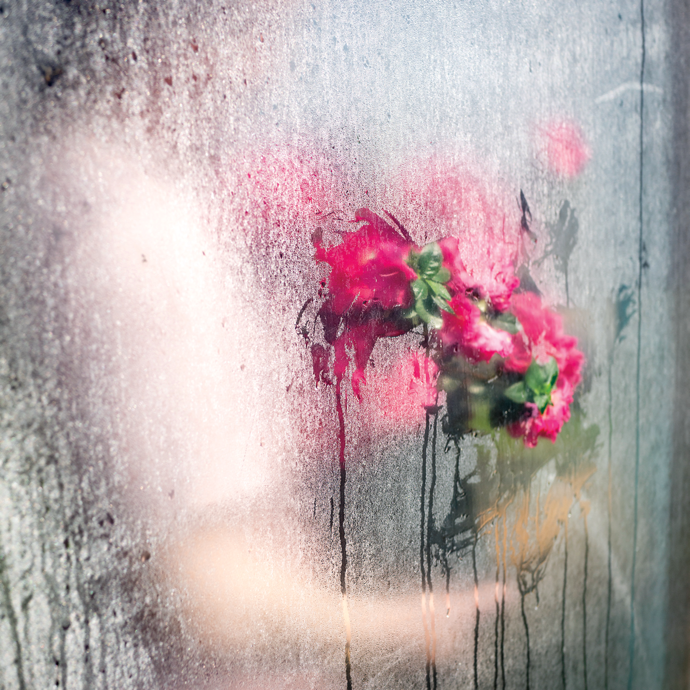“Emily in the Greenhouse,” a photograph by Cig Harvey, whose work was on view last month at The Photography Show, presented by AIPAD, in New York City.