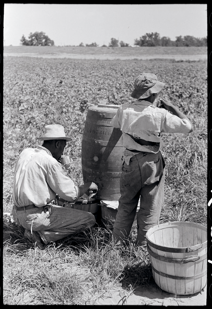 Day laborers in a bean field, near Muskogee, Oklahoma, 1939 © Russell Lee/LC-USF33-012270-M1