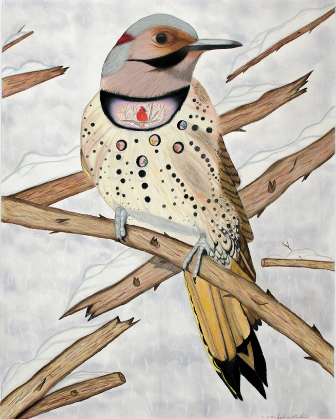 Northern Flicker, by Luis Norberto Martinez © The artist. Courtesy Community Partners in Action Prison Arts Program and The Aldrich Contemporary Art Museum, Ridgefield, Connecticut