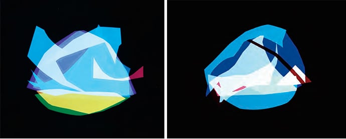 “Birdhouse” and “Winter Vacation,” analog chromogenic photograms by Liz Nielsen © The artist. Courtesy Black Box Projects, London