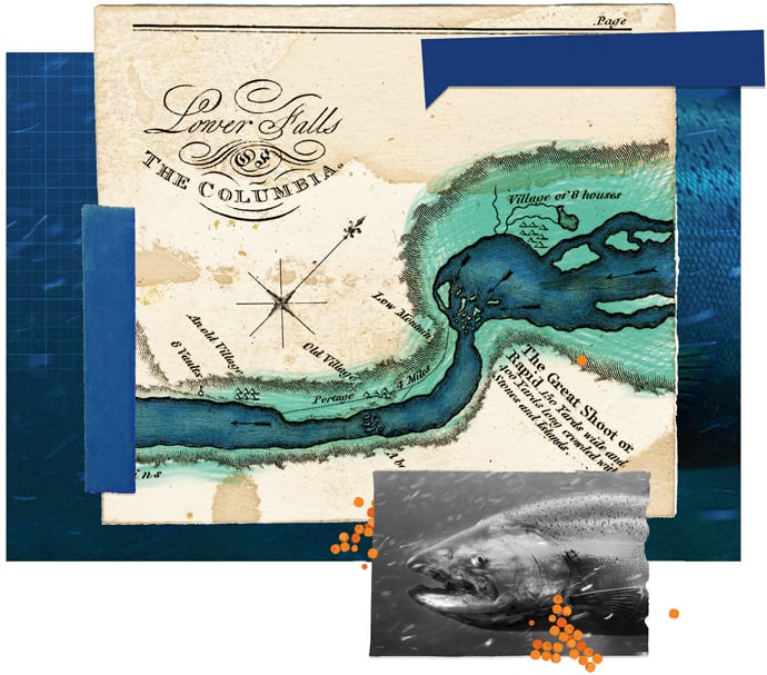 Collages by Jen Renninger. Map of Lower Falls of the Columbia, 1814, by Meriwether Lewis, based on observation during the Lewis and Clark expedition, 1804–1806. Courtesy Washington State University; Salmon © Christy V. Henderson/Alamy