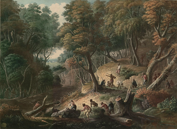The Maroons in Ambush on the Dromilly Estate in the Parish of Trelawney, Jamaica, an aquatint by J. Mérigot, based on a painting by Francois Jules Bourgoin. Courtesy t ¸ he British Library, London