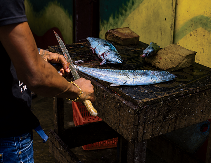  A fisherman cleans a fish at a restaurant in La Playita; a scale by the docks.