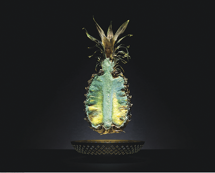 “Pineapple,” by Klaus Pichler © The artist. Courtesy Anzenberger Gallery, Vienna