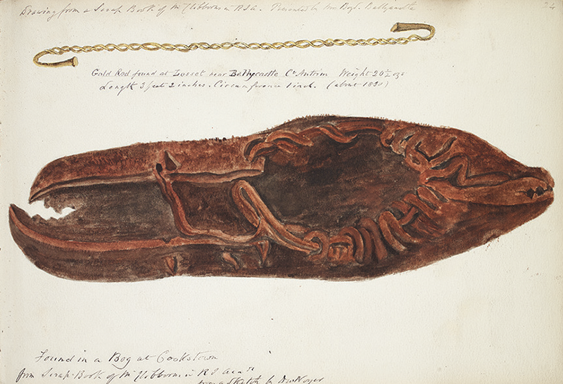 A shoe found in a bog in Cookstown, County Tyrone, Northern Ireland.