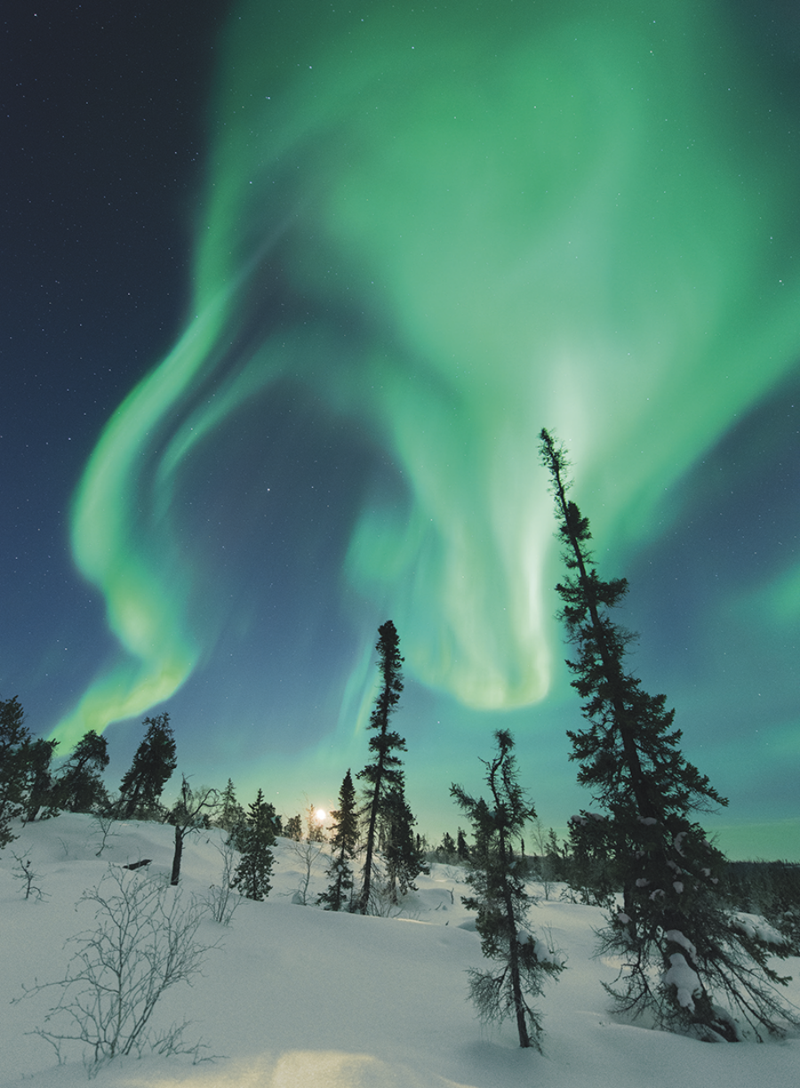 The aurora borealis in Yellowknife, Northwest Territories (detail) © Michael Ericsson/Photodisc/Getty Images