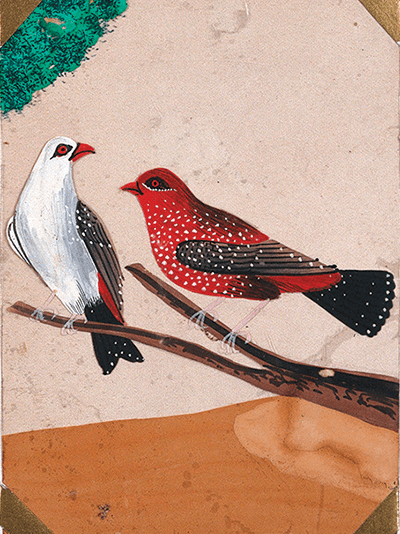 A nineteenth-century Indian painting of two birds on a branch. Courtesy the Wellcome Collection, London