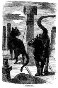 Etching. Two black cats on a roof. A full moon is in the background.
