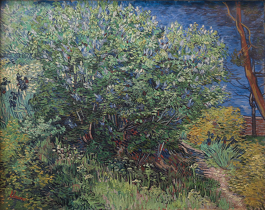 Lilac Bush, 1889, by Vincent Van Gogh. Courtesy the Hermitage Museum, St. Petersburg