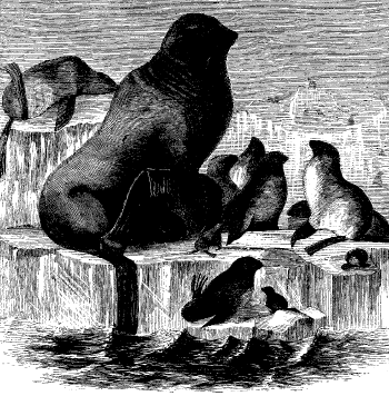 [Image: A Small Family, May 1874]
