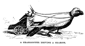[Image: A grasshopper driving a chariot, 1875]