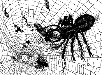 [Image: Caught in the Web, 1860]