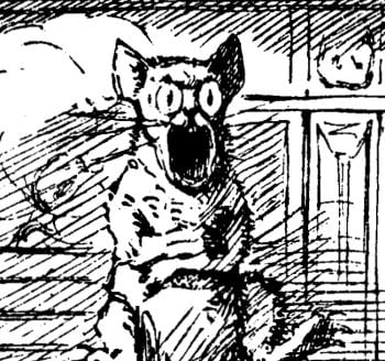 [Image: a very upset, poisoned cat.]