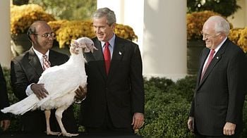 George W. Bush holds a turkey's neck, smiling, as Dick Cheney looks on.
