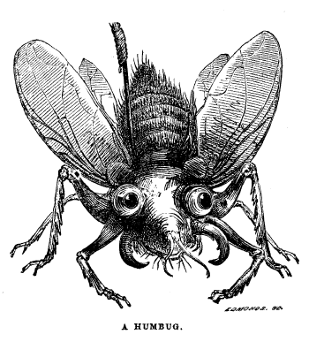 [Image: A Humbug, December 1853]